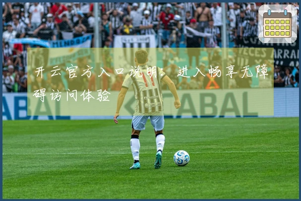 开云官方入口说明：进入畅享无障碍访问体验